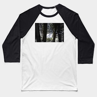 snowy Oregon forest 6 Baseball T-Shirt